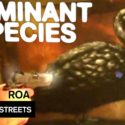 Dominant Species by ROA | Art in the Streets | MOCAtv Ep. 8