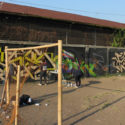 Bonzai in Bandung, Indonesia..