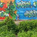 Daos501, Vietnam and MONTANA-CANS