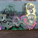 Bios and Pako: From Ukraine to Hamburg