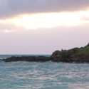 POW! WOW! HAWAII 2016 VIDEO BY PAUL TRIENEKENS