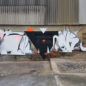 INTRODUCING GRAFFITI ARTIST SEMOR