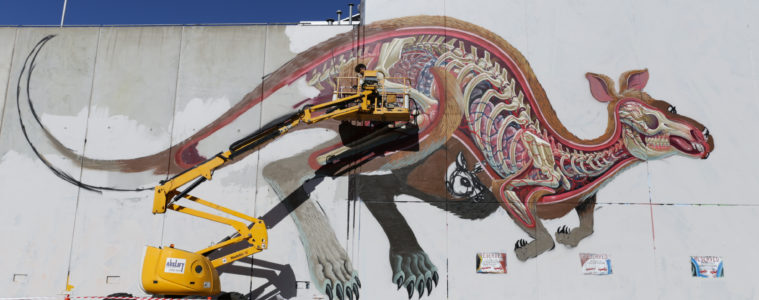 NYCHOS RETURN AUSTRALIA RECAP