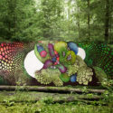 INTRODUCING GRAFFITI ARTIST CAROLINA FALKHOLT