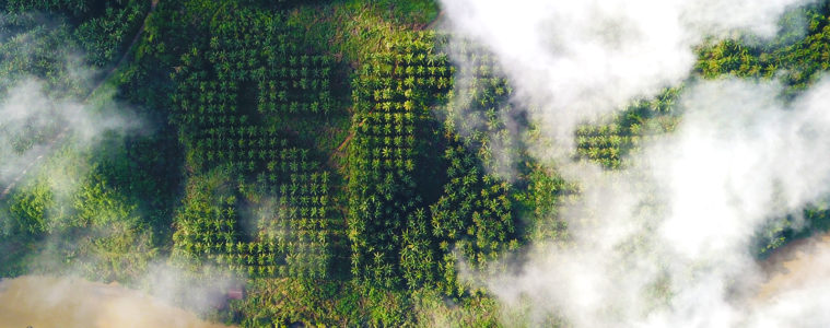 Ernest Zacharevic 'Save our Souls' Splash and Burn
