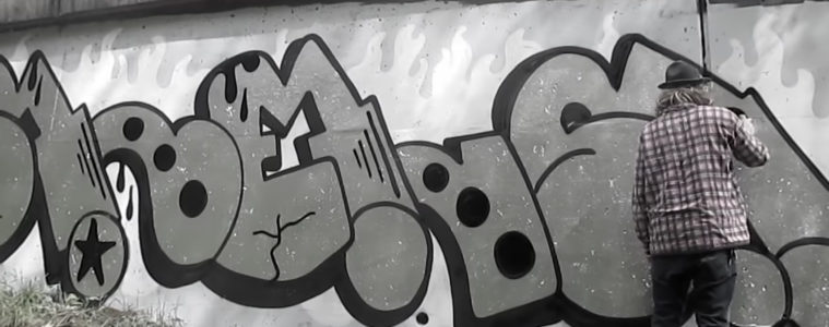 MONOCHROME 073 SHELS