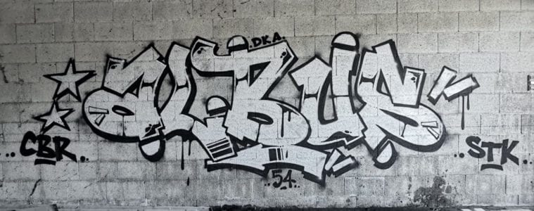 MONOCHROME 096 ALBUS