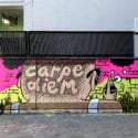 INTRODUCING GRAFFITI ARTIST MAX SOLCA