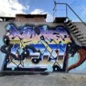 INTRODUCING Graffiti ARTIST LEO LUNATIC