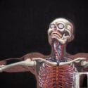 NYCHOS – Stadt Wand Kunst video recap