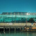 SEA CHANGE – A DECADE OF ARTIVISM FOR OCEANS